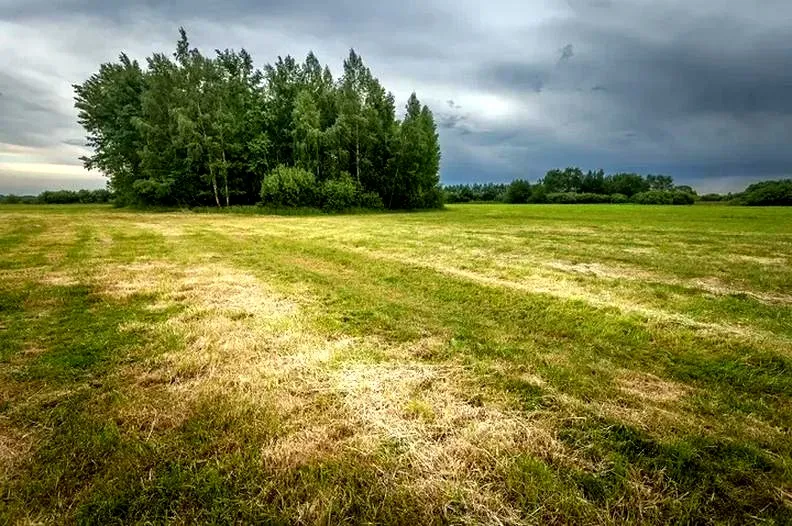 Ile kosztuje doprowadzenie mediów do działki? Przewodnik po kosztach i formalnościach