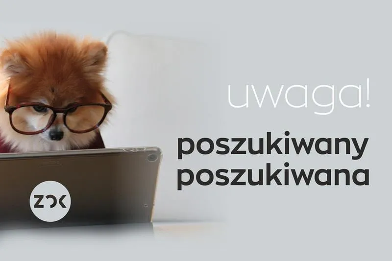 Ile zarabia specjalista ds social media — realistyczny przegląd zarobków i benefitów
